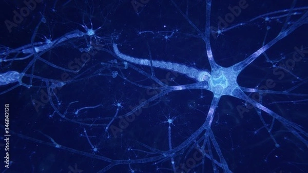 Fototapeta 3d illustration brain neurons with synapses and axons