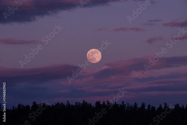 Obraz full moon in the night