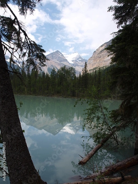 Fototapeta OLYMPUS DIGITAL CAMERA