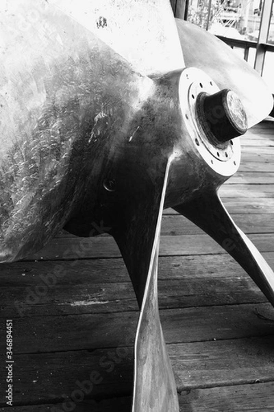 Fototapeta OLYMPUS DIGITAL CAMERA