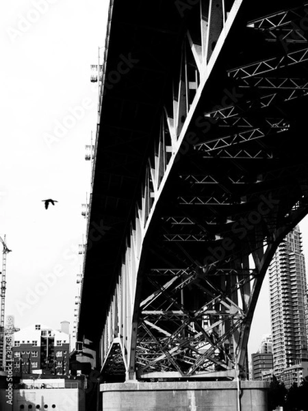 Fototapeta OLYMPUS DIGITAL CAMERA