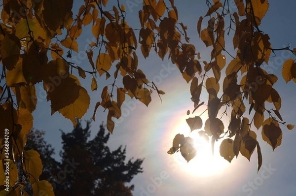 Fototapeta OLYMPUS DIGITAL CAMERA