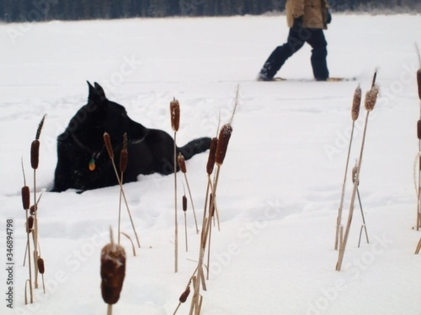 Fototapeta OLYMPUS DIGITAL CAMERA