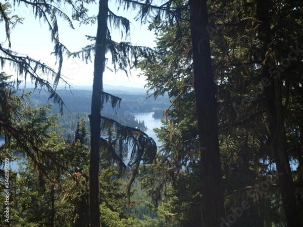 Fototapeta OLYMPUS DIGITAL CAMERA