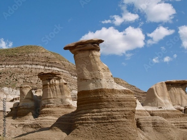 Fototapeta OLYMPUS DIGITAL CAMERA