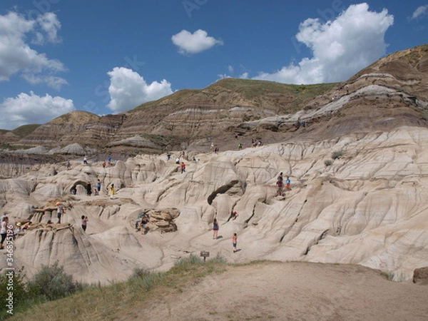 Fototapeta OLYMPUS DIGITAL CAMERA