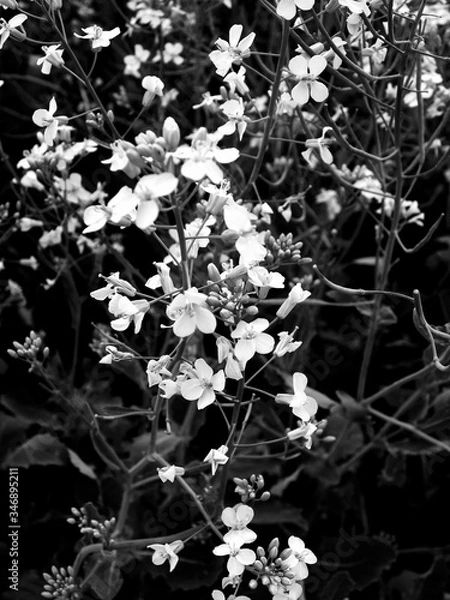 Fototapeta Version 2