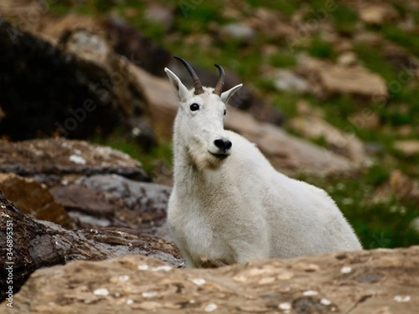 Fototapeta OLYMPUS DIGITAL CAMERA