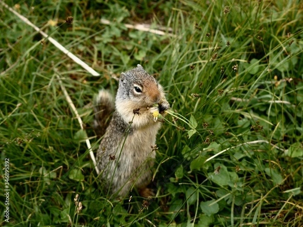 Fototapeta OLYMPUS DIGITAL CAMERA