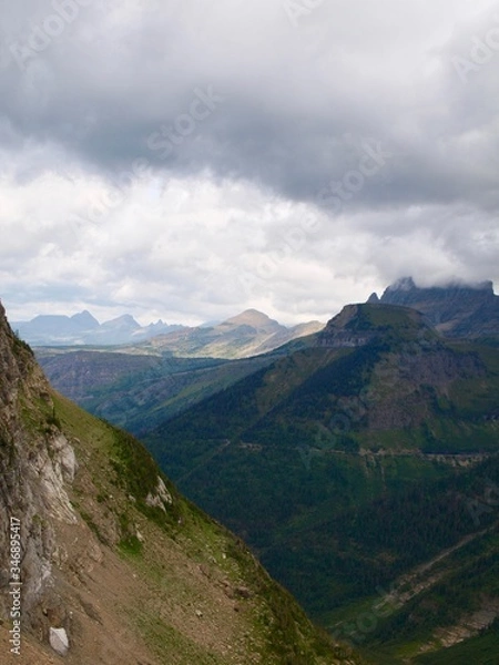 Fototapeta OLYMPUS DIGITAL CAMERA