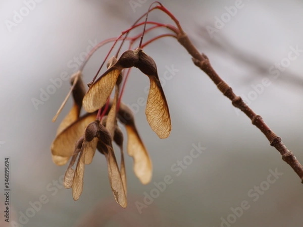 Fototapeta OLYMPUS DIGITAL CAMERA