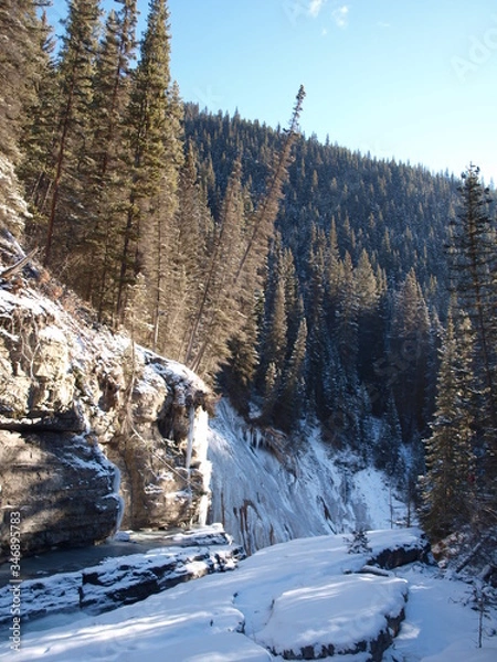 Fototapeta OLYMPUS DIGITAL CAMERA