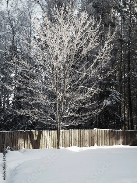 Fototapeta OLYMPUS DIGITAL CAMERA