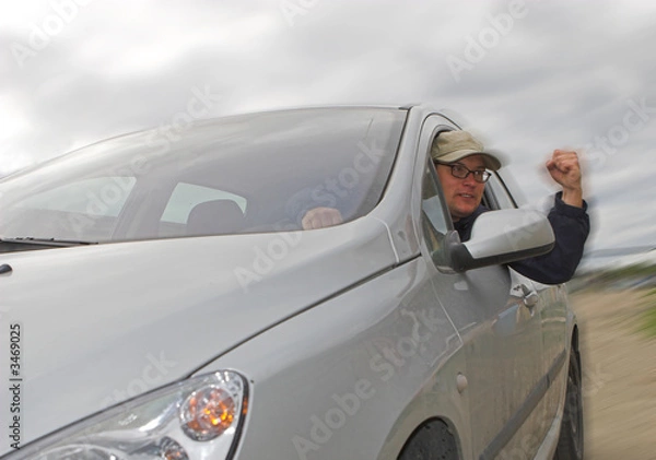 Obraz driver with fist