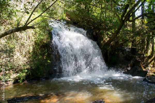 Fototapeta waterfall in the forest