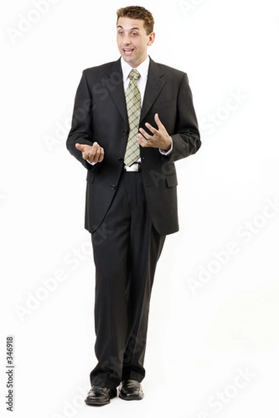 Obraz businessman portrait 5