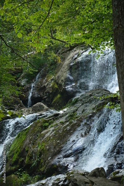 Obraz waterfall