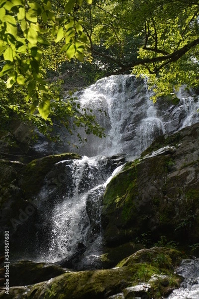 Obraz waterfall