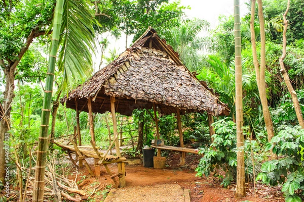 Fototapeta hut made of bamboo and straw in a rainforest, jungle in a village Northern Thailand