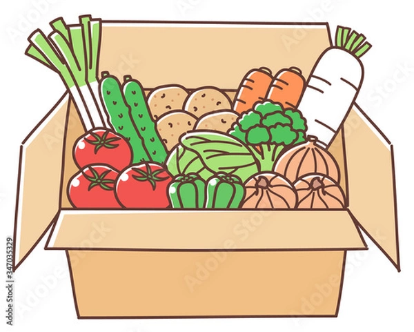Fototapeta ダンボールに詰めたいろんな野菜