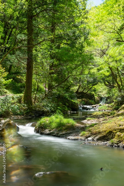 Fototapeta 春の渓流と滝