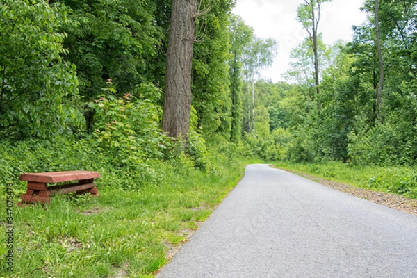 Fototapeta wooden bench