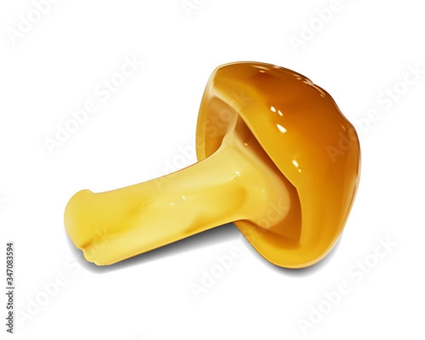 Obraz なめこ　アイコン　影と本体は分離でき、どんな背景に配置しても良く映える