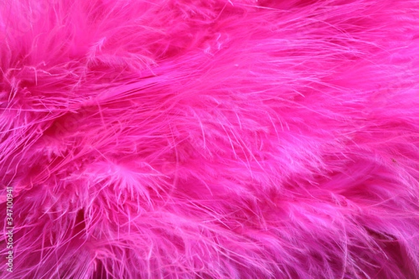 Fototapeta Beautiful abstract pink purple feathers macro view. Soft pink background. Pink feather texture 
