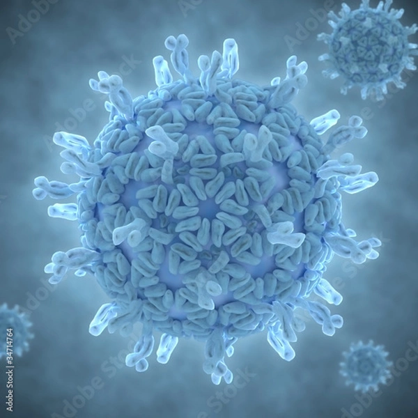 Obraz infectious rotavirus