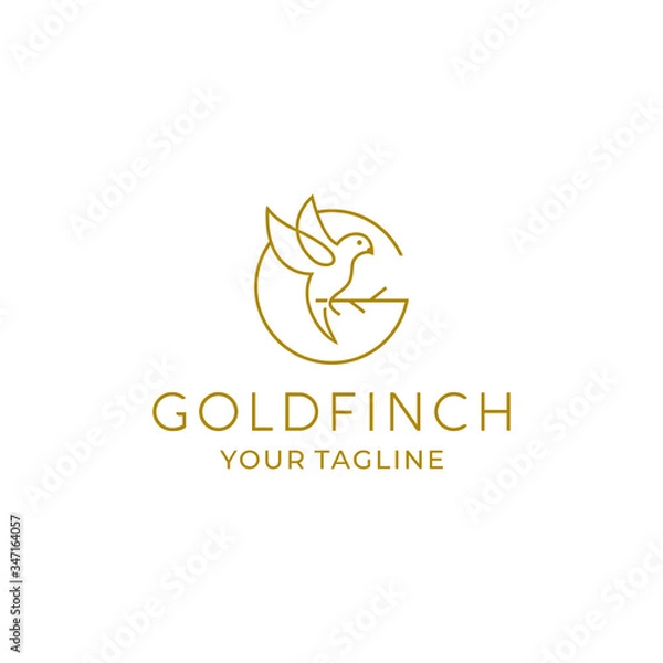 Obraz goldfinch logo vector design template
