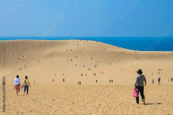 Fototapeta 鳥取砂丘 歩く人たち