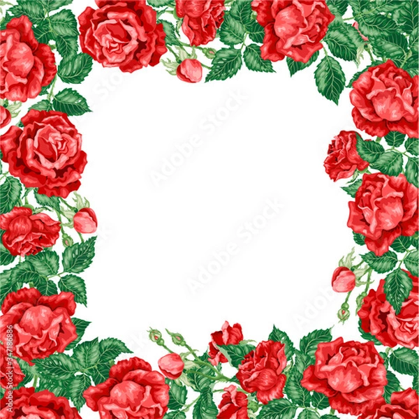 Obraz Wreath frame vector illsutration decor element with roses