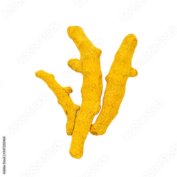 Fototapeta Dry turmeric roots isolated on white background.