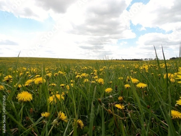 Fototapeta KODAK Digital Still Camera