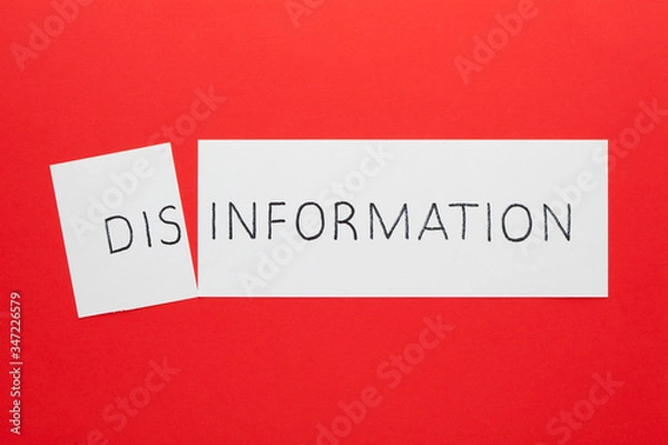 Obraz Disinformation transformed to information