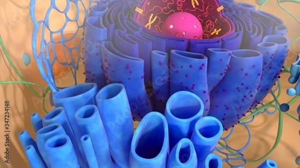 Fototapeta 3d render. 3d illustration cell modell. 