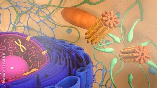 Fototapeta 3d render. 3d illustration cell modell. 