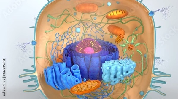Fototapeta 3d render. 3d illustration cell modell. 