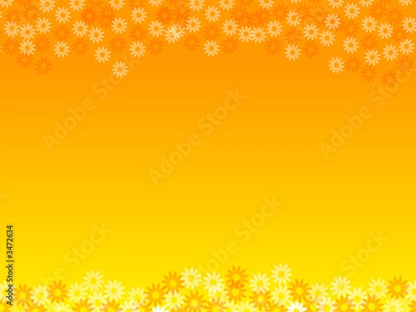 Obraz orange flowers background