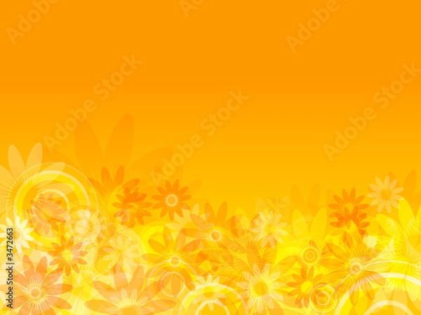 Obraz more abstract  flowers with circle