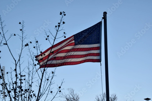 Obraz American flag flowing in the wind 