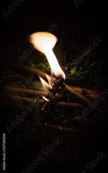 Obraz bonfire log burning in grass 