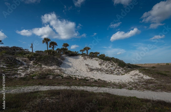 Obraz Beautiful Winter Floridian Beach