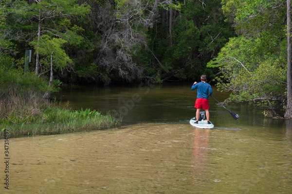 Obraz Man using paddle board down shallow creek