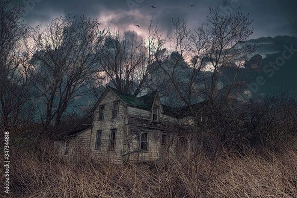 Fototapeta An abandoned house in rural Ontario with wind and ominous clouds circling above. 