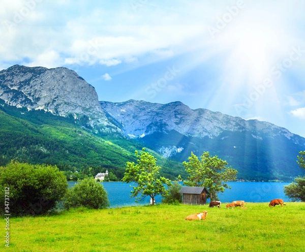 Obraz Alpine summer lake view