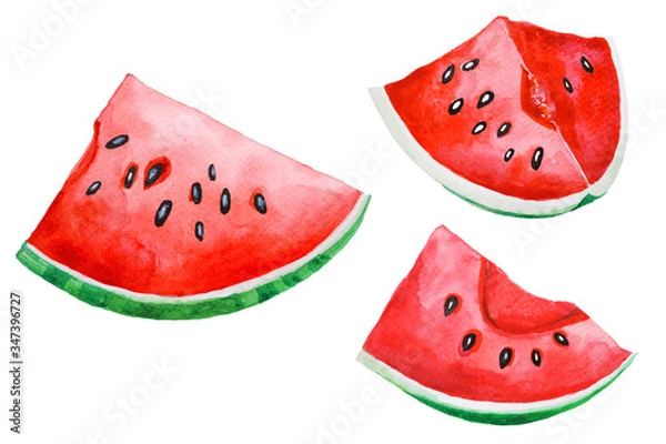 Fototapeta Fresh Watermelons sliced set Watercolor hand drawing and painting illustration isolated on white  paper Background.