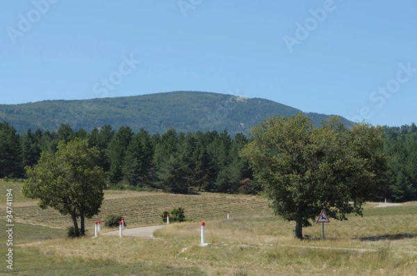 Obraz Risque de passage d'animaux sauvages
