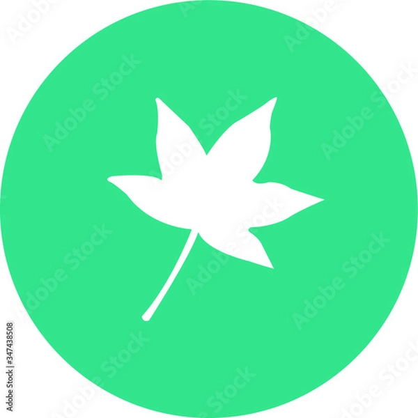 Fototapeta Autumn tree maple leaf vector icon