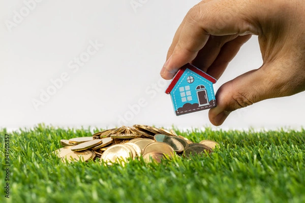Fototapeta hand hold a home model put on the stack coin with growing. Savings money for buy house and loan to business investment.